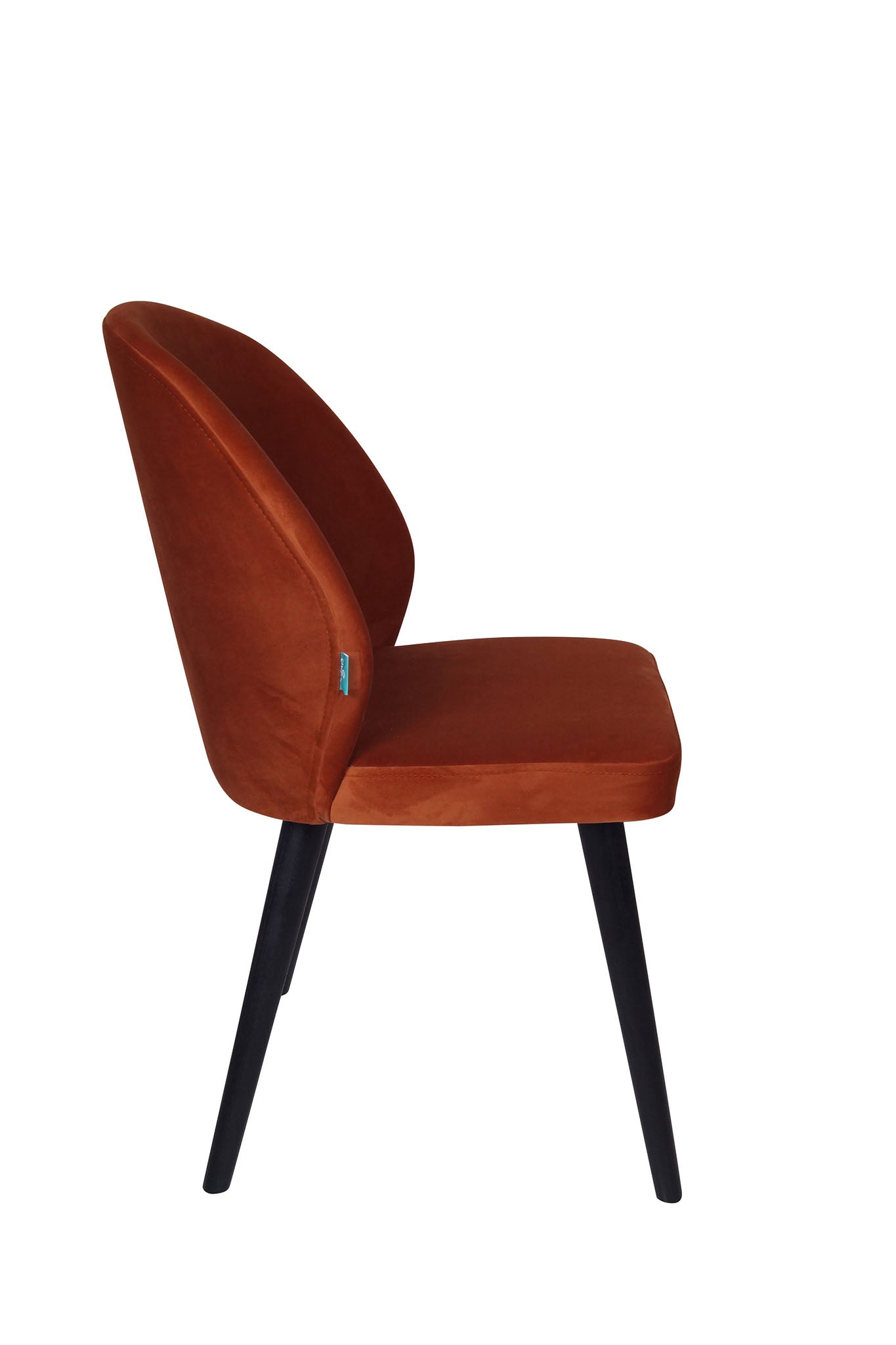 Alisa Dining Chair