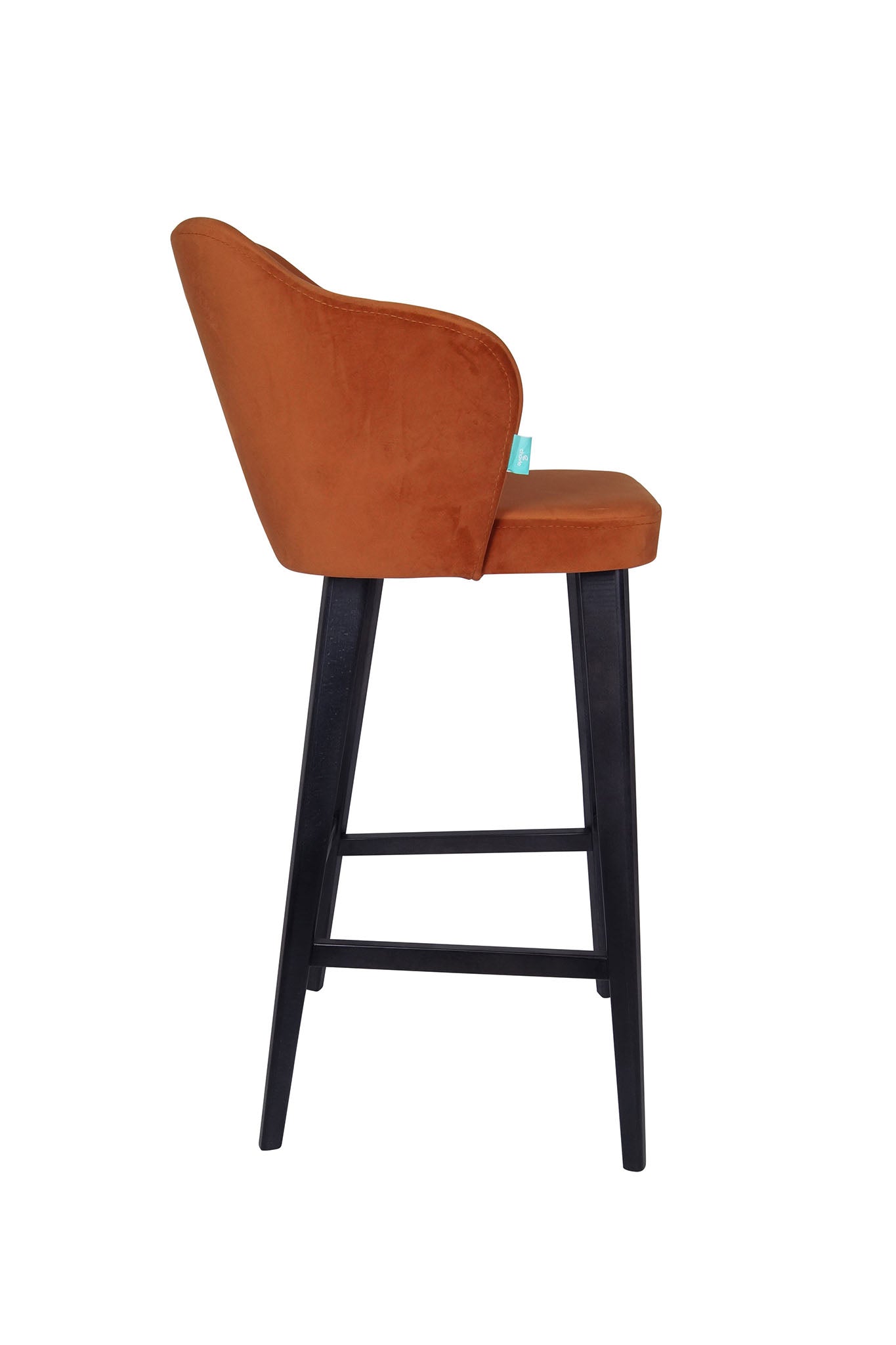 Барска Столица Оливиа