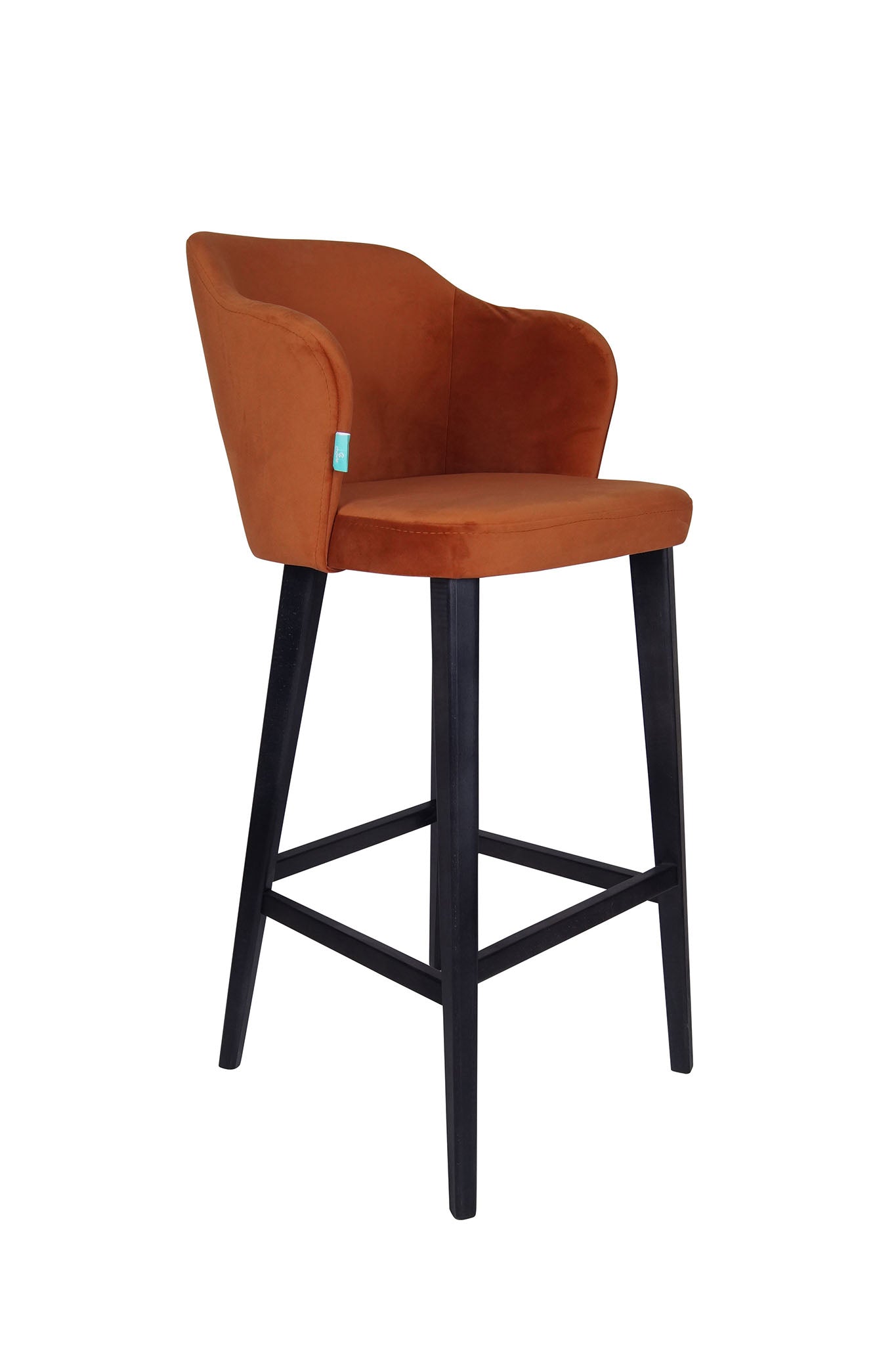 Барска Столица Оливиа